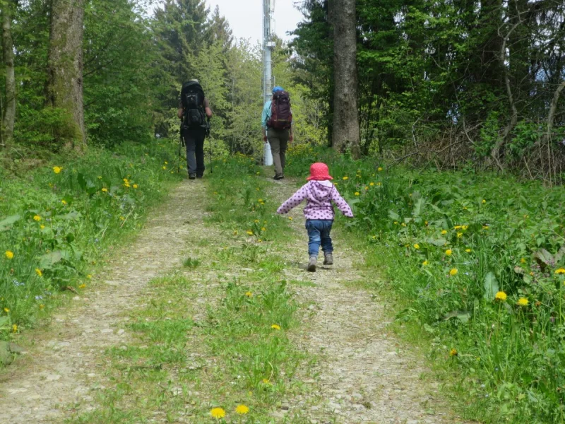 Wanderweg bei der Tour du Gibloux